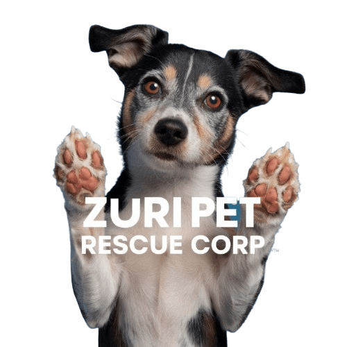 Zuri Pet Rescue Corp